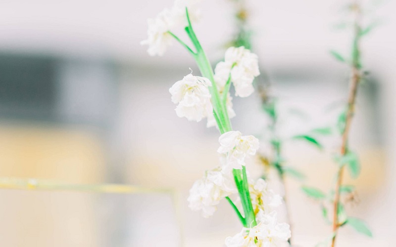 對男性傷害最嚴重的三大行為! 對男性傷害最嚴重的三大行為!