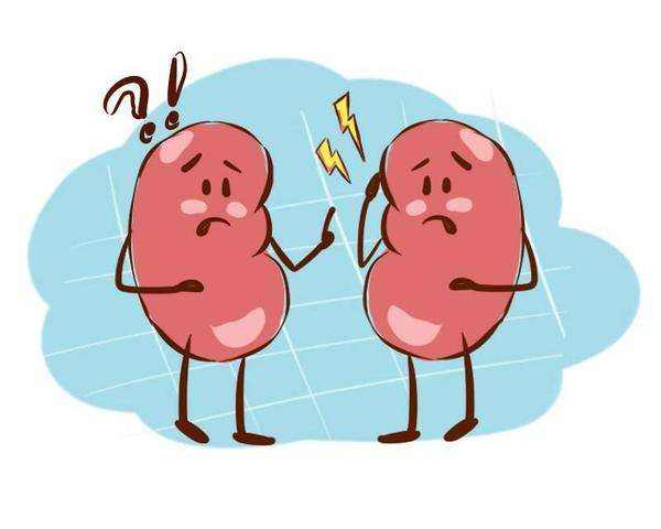 健康養生小知識!腎衰竭的早期癥狀表現有哪些? 健康養生小知識!腎衰竭的早期癥狀表現有哪些?