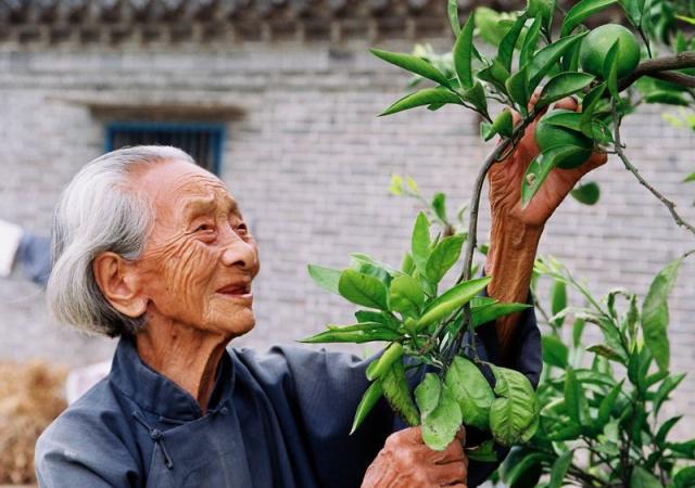 長壽的人有哪些特點?年紀大了如何養生? 長壽的人有哪些特點?年紀大了如何養生?