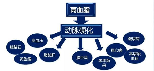 高血脂一般會(huì)產(chǎn)生什么樣的危害呢?高血脂有什么危害? 高血脂一般會(huì)產(chǎn)生什么樣的危害呢?高血脂有什么危害?